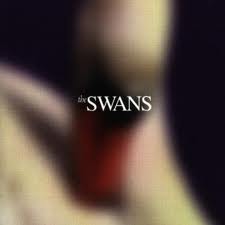 Swans-Photographs and letters - Kliknutím na obrázok zatvorte